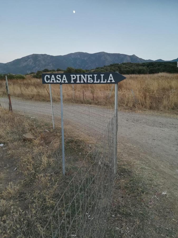 Casa Pinella Villamassargia Exterior foto